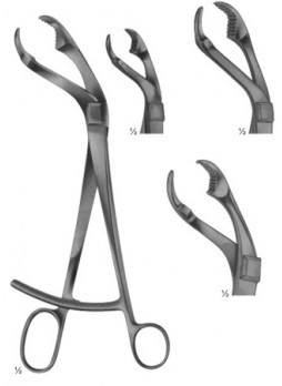 Bone Holding Forceps